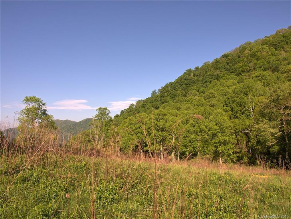 1433 West Cove Road Canton, NC 28716 - Photo 6 of 19