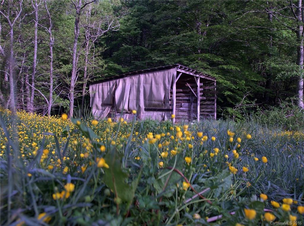 1433 West Cove Road Canton, NC 28716 - Photo 7 of 19