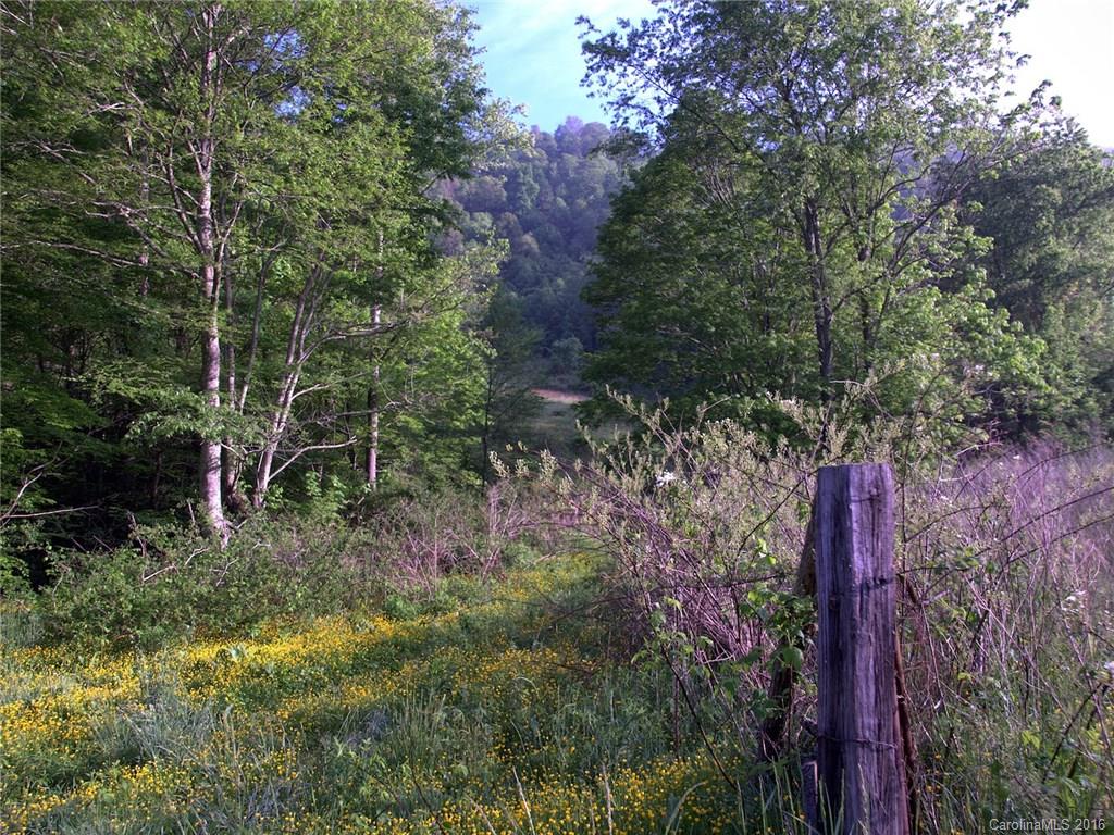 1433 West Cove Road Canton, NC 28716 - Photo 8 of 19