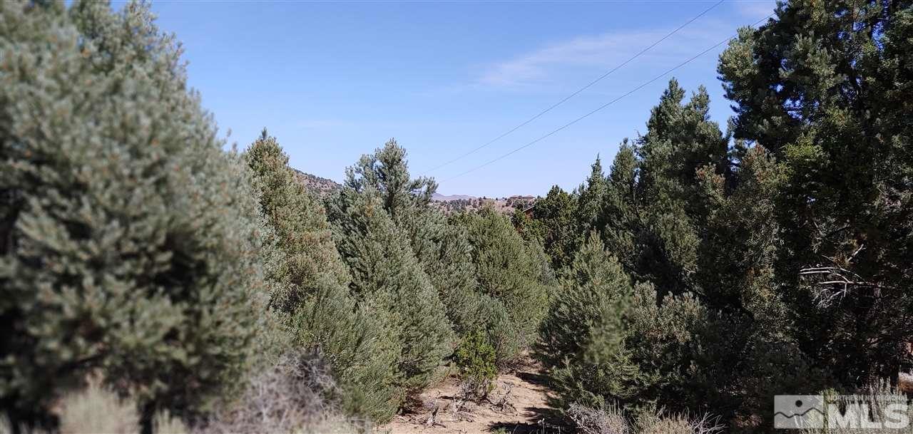 2330 Goodman Road, Unit 51 Reno, NV 89521 - Photo 7 of 12 a view of a city with lush green forest