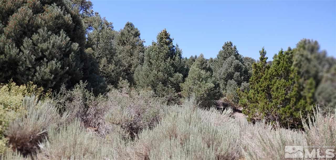 2330 Goodman Road, Unit 51 Reno, NV 89521 - Photo 8 of 12 a view of a forest with a tree in the background