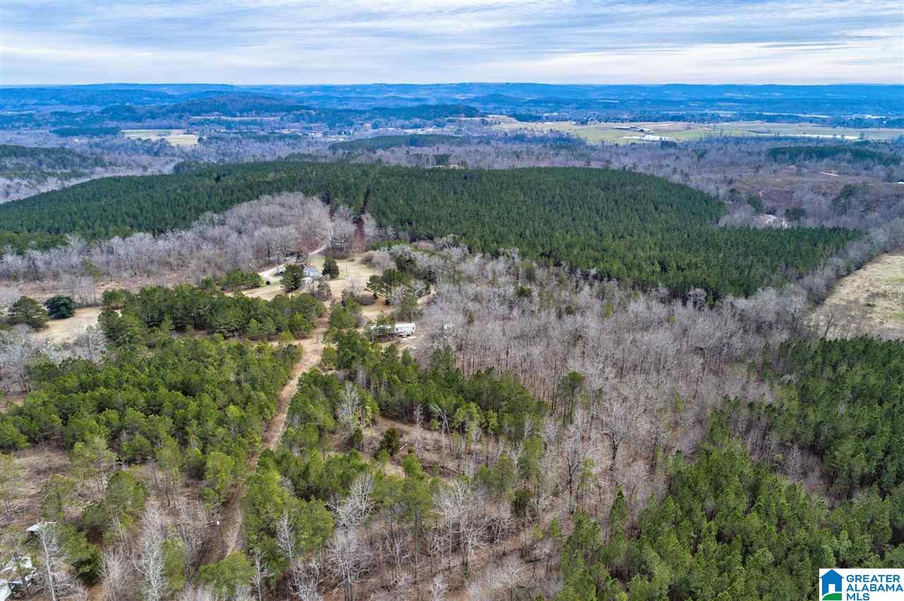 620 Chief Albert Road Blountsville, AL 35031 - Photo 6 of 15