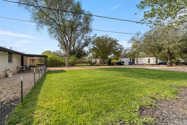 a view of a park with large trees