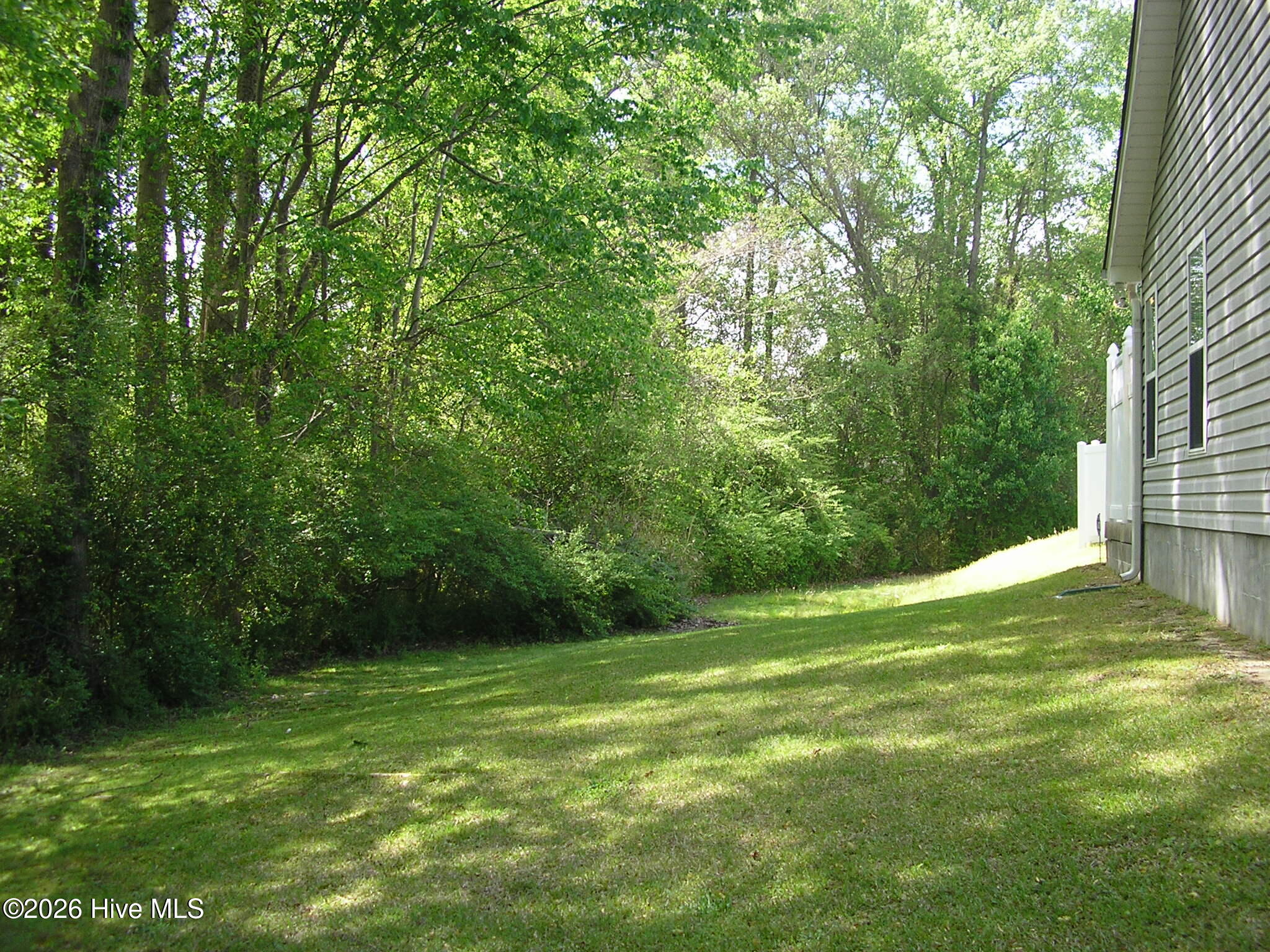 3128 Ruth Court Greenville, NC 27834 - Photo 21 of 22 Backyard View