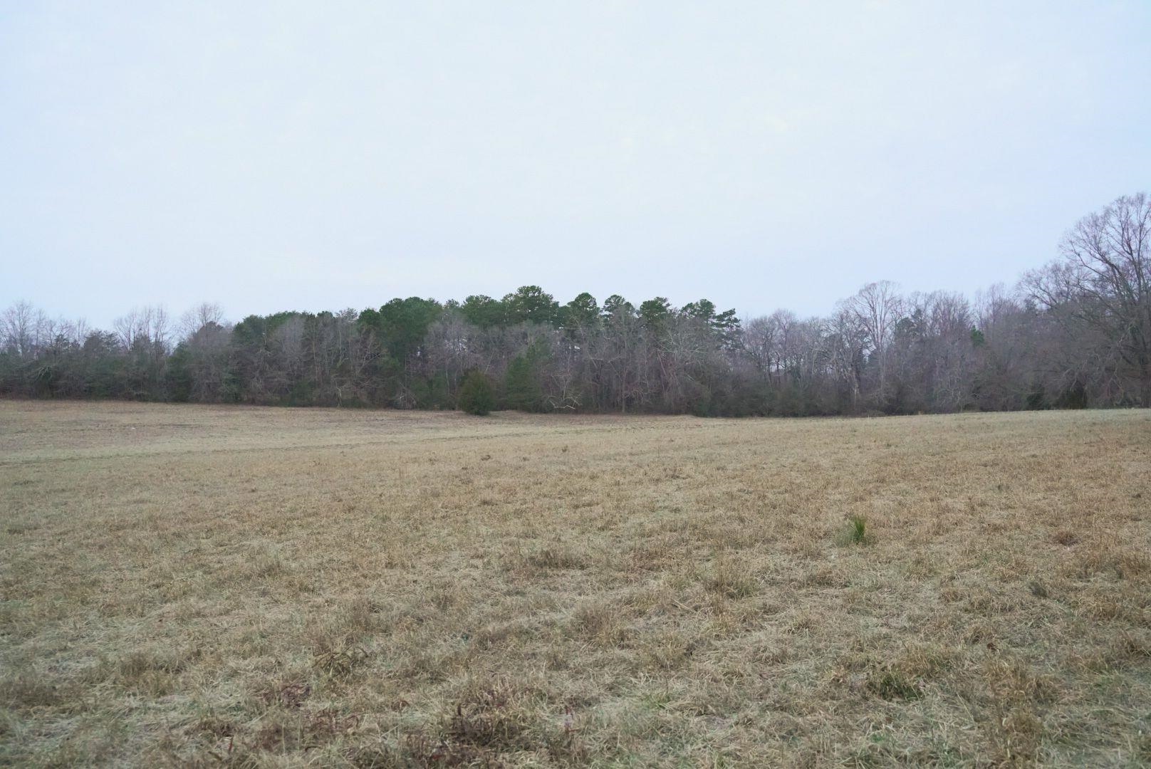 1 Hub Greer Road Chesnee, SC 29323 - Photo 6 of 8
