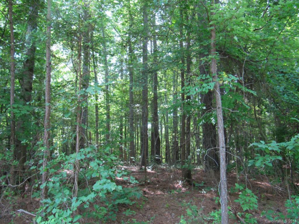 133 Upper Stanley Road Stanley, NC 28164 - Photo 3 of 4