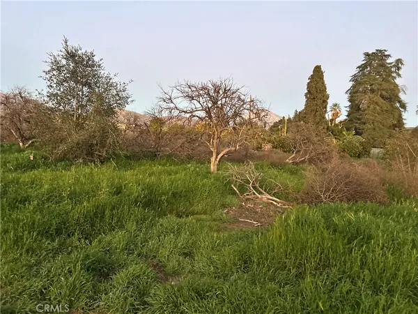 a view of a yard in a field
