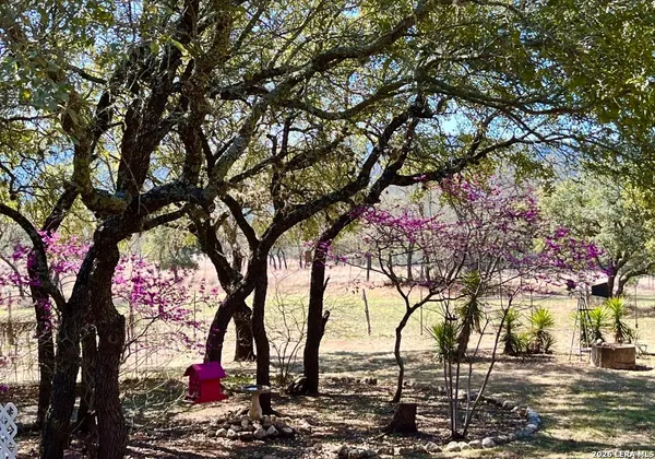 $349,000 | 3187 County Road 361, Utopia, TX 78884