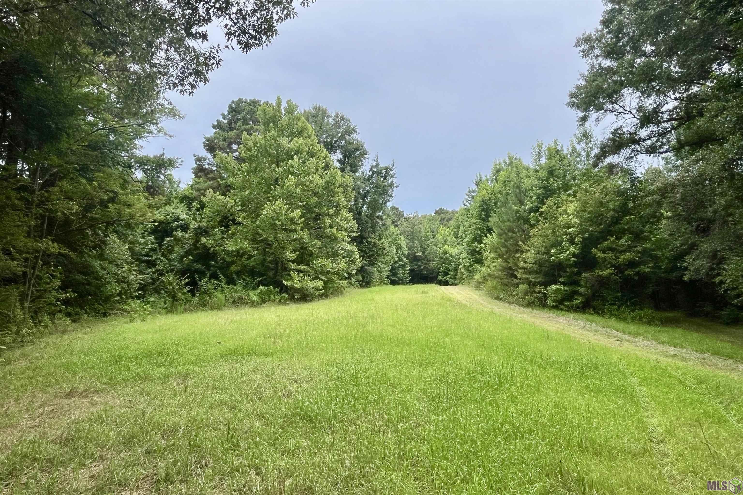655 Oil Well Road Fayette, MS 39069 - Photo 28 of 58