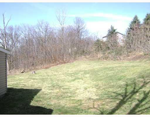 3673 Brodhead Road Monaca, PA 15061 - Photo 6 of 6 Yard/Garden.