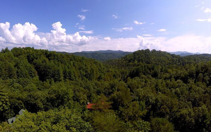 L415 Hiawatha Trail Blue Ridge, GA 30513 - Photo 1 of 1 Main View