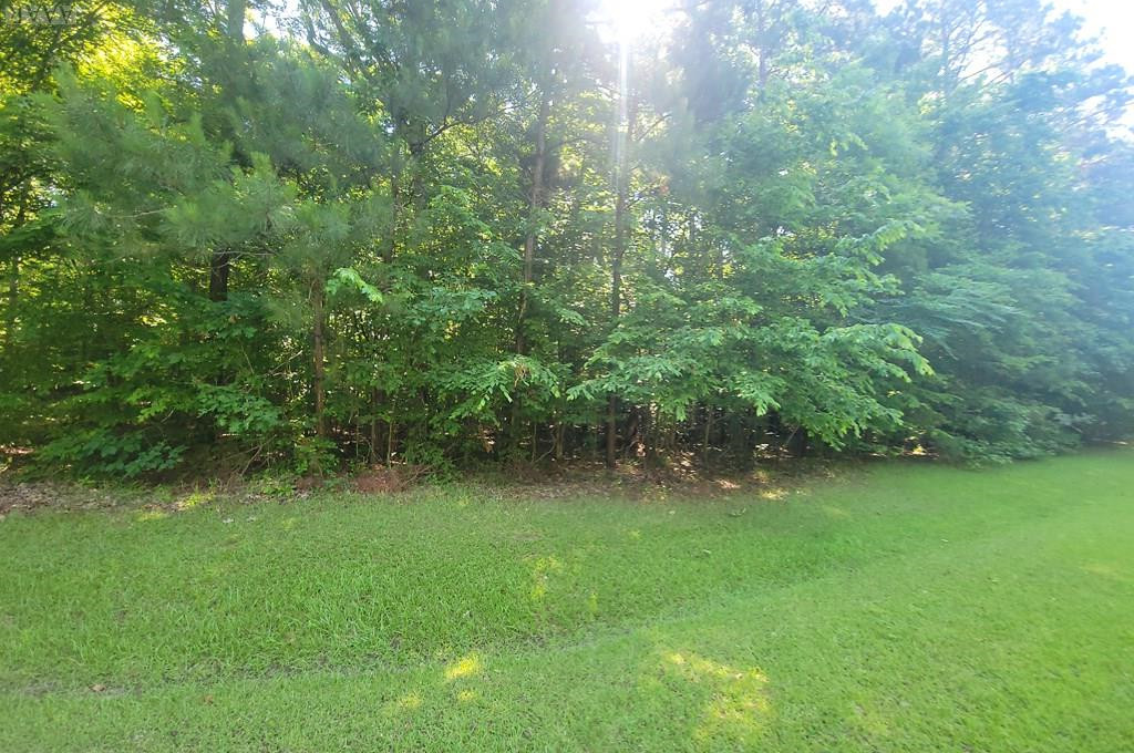 222 Pine Point Road Hertford, NC 27944 - Photo 4 of 4 Gallery Image 4