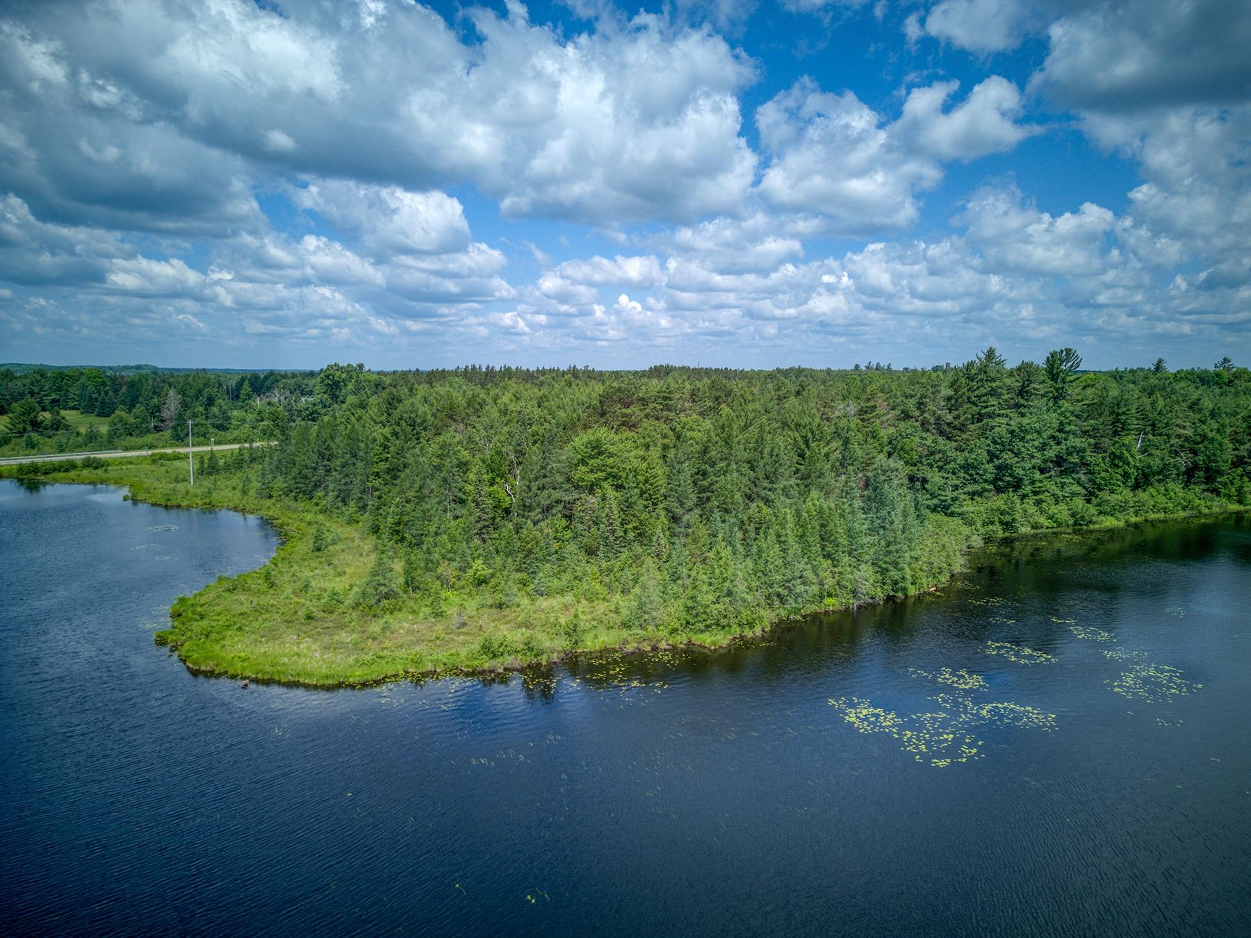 45 Three Lakes, Unit 1 Three Lakes, WI 54562 - Photo 8 of 22 Gallery Image 8