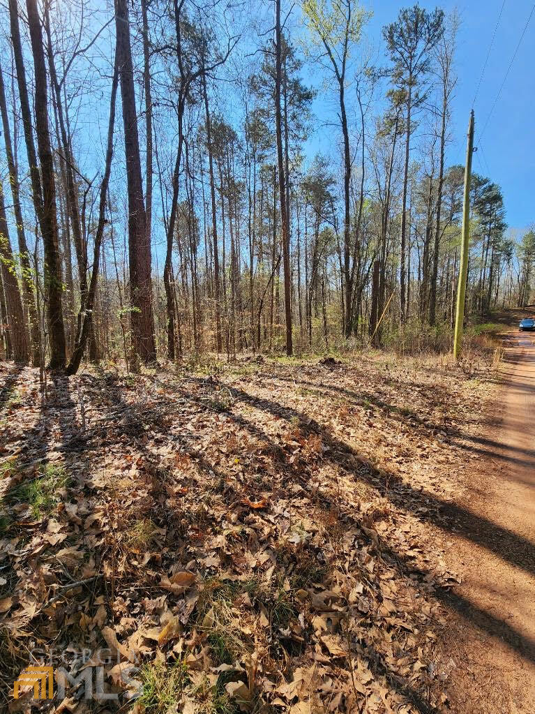 a view of a backyard of the house