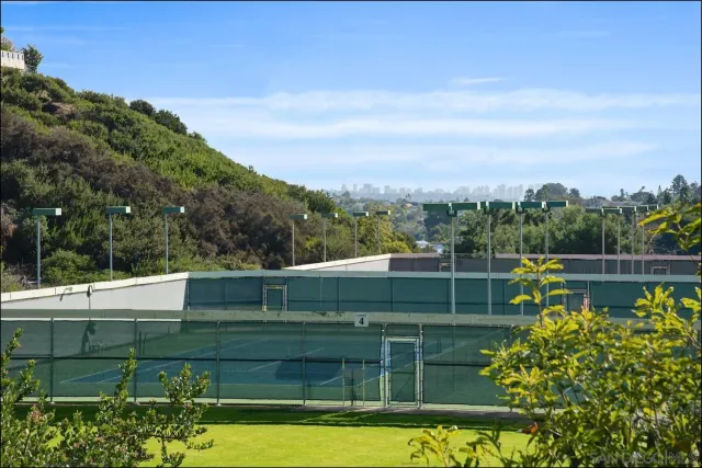 a view of a swimming pool with a garden