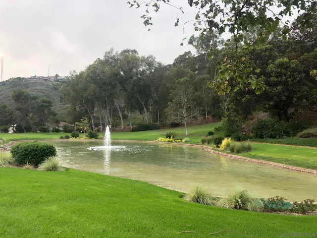a view of a swimming pool with a yard and large trees