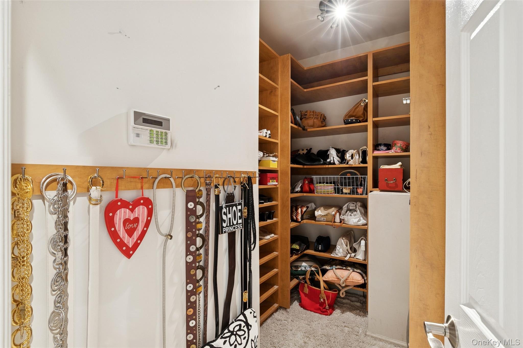 103 Rivendell Court Melville, NY 11747 - Photo 24 of 47 Spacious closet with light colored carpet