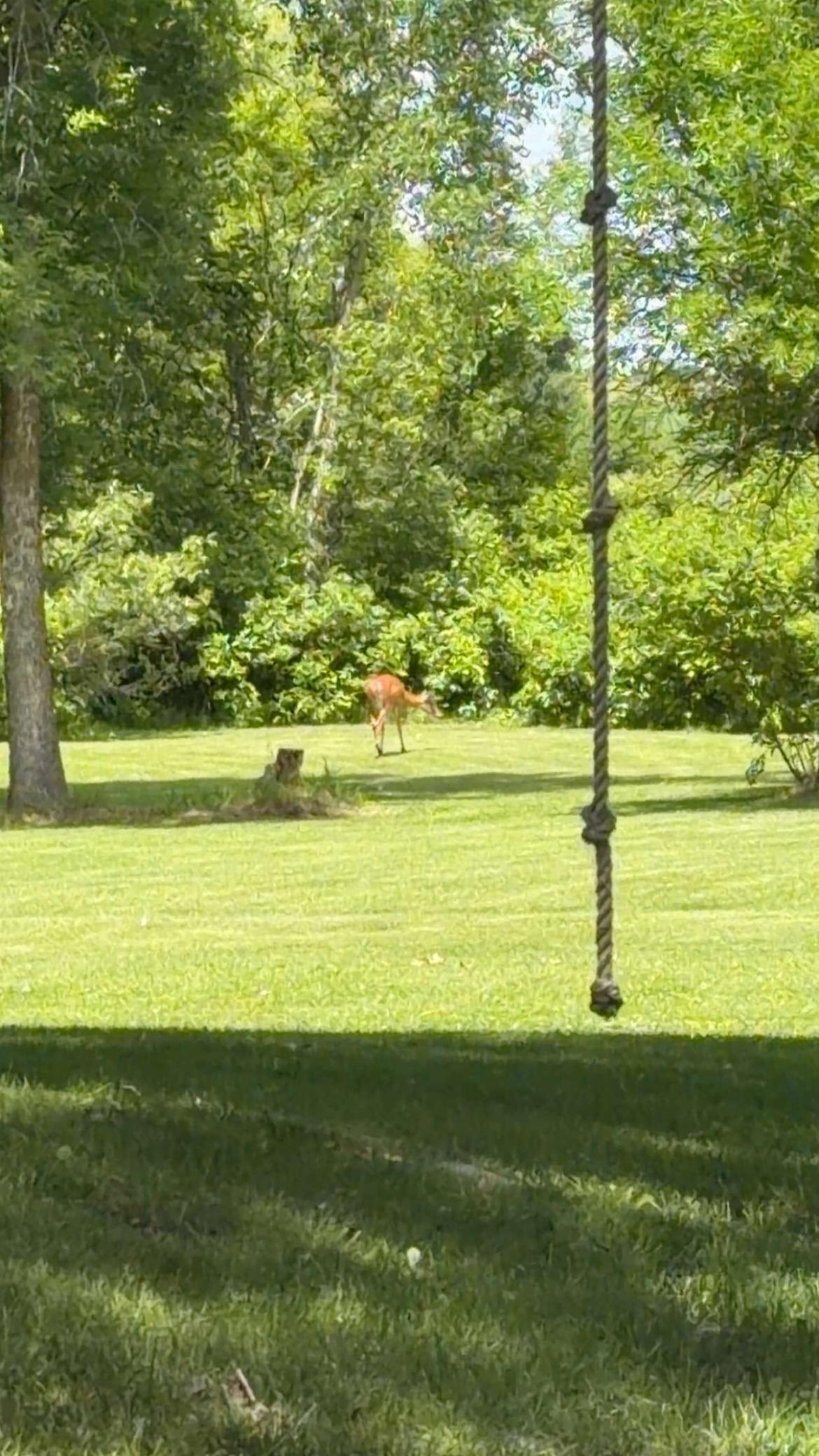 928 Reno Street Hawley, MN 56549 - Photo 28 of 44