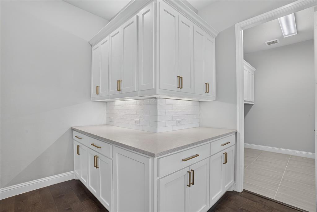 2528 Horsetail Road Frisco, TX 75033 - Photo 15 of 39 So much storage space with a touch of class!