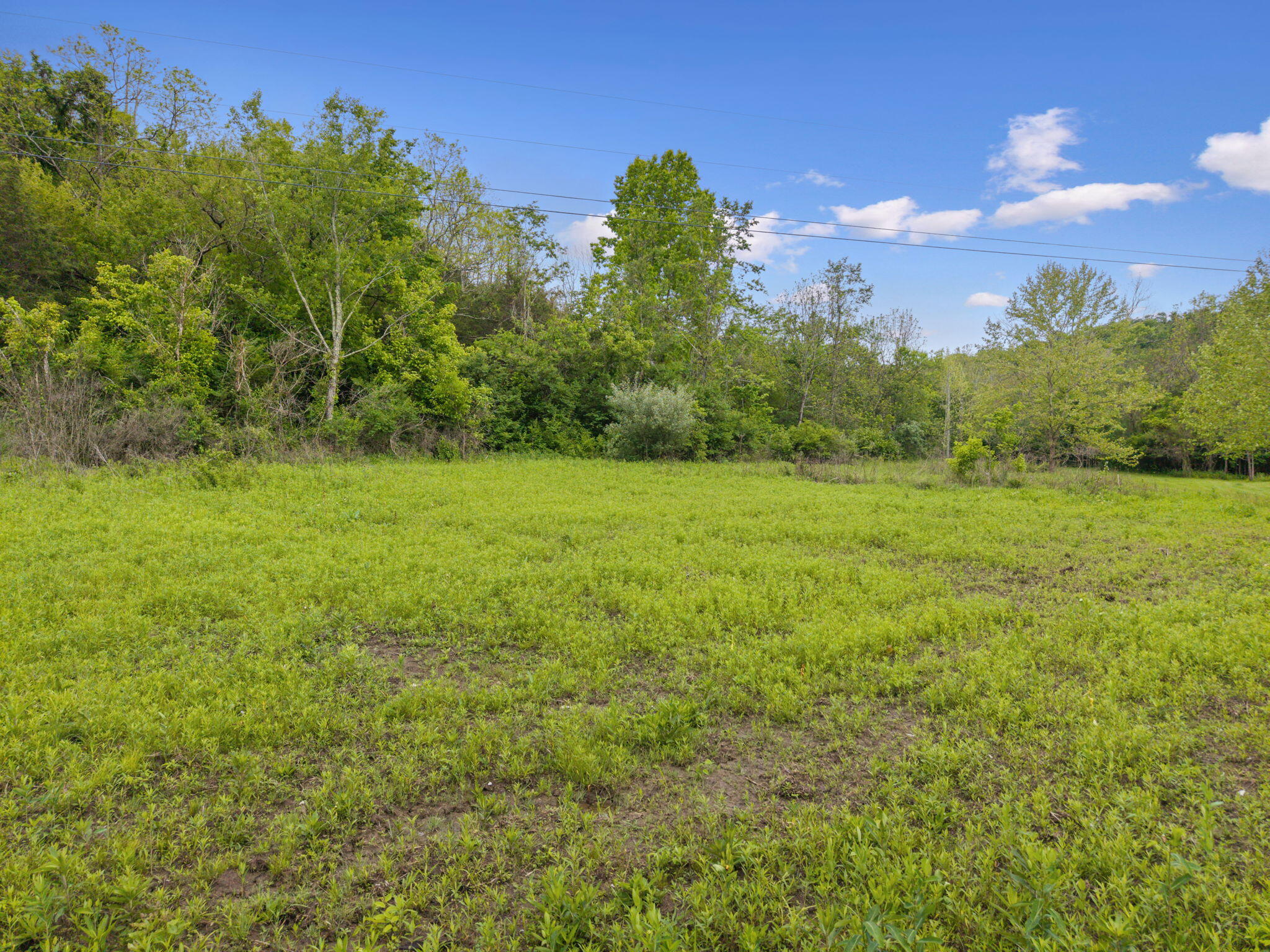 925 Lockmier Road Augusta, KY 41002 - Photo 44 of 50