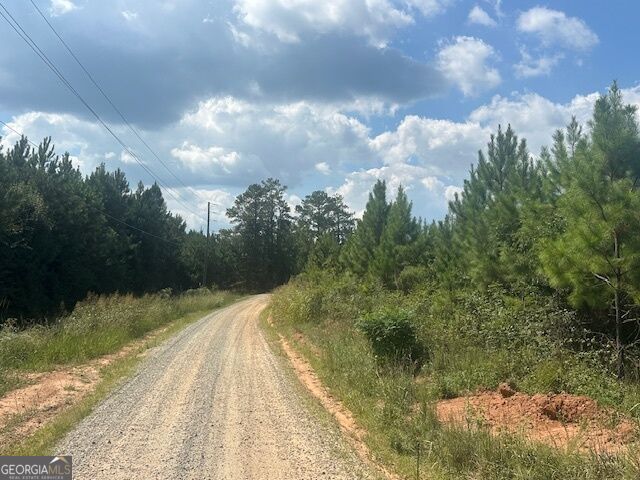 0 Cook Road, Unit TRACT #8 Monticello, GA 31064 - Photo 3 of 14 Gallery Image 3