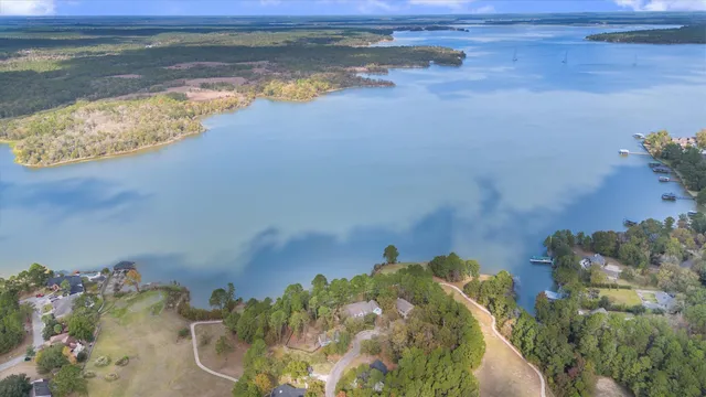 a view of a yard with plants