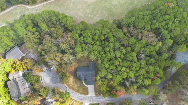 a view of a park with large trees