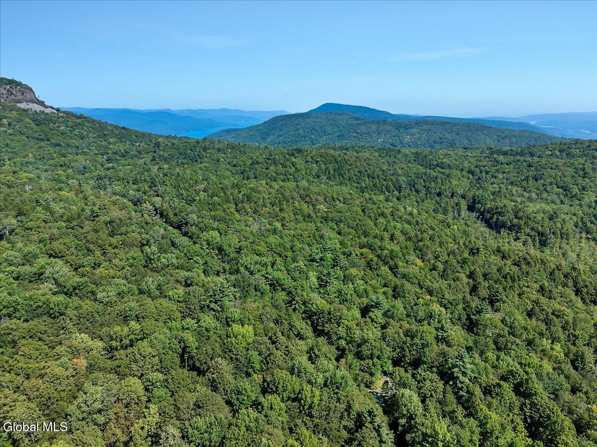 1120 Pike Brook Road Clemons, NY 12819 - Photo 30 of 43 31-DJI_20250812111652_0344_D