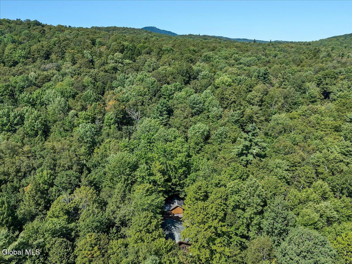 1120 Pike Brook Road Clemons, NY 12819 - Photo 31 of 43 34-DJI_20250812111939_0359_D