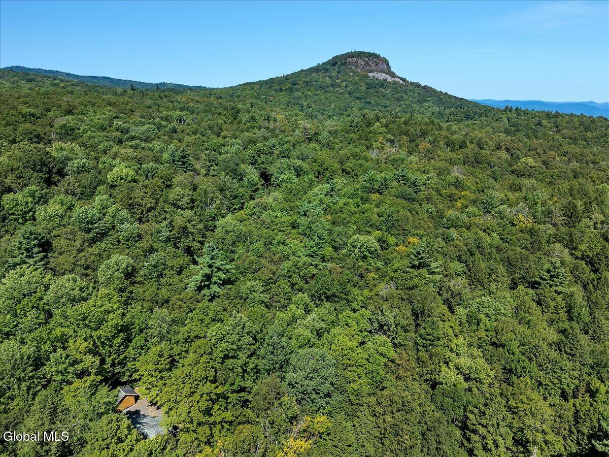 1120 Pike Brook Road Clemons, NY 12819 - Photo 32 of 43 35-DJI_20250812111957_0364_D