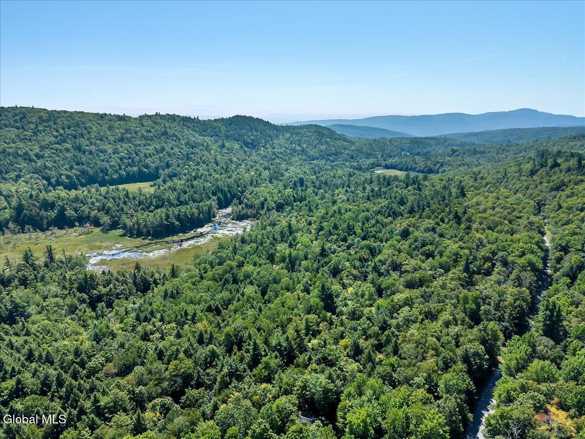 1120 Pike Brook Road Clemons, NY 12819 - Photo 34 of 43 37-DJI_20250812112151_0379_D