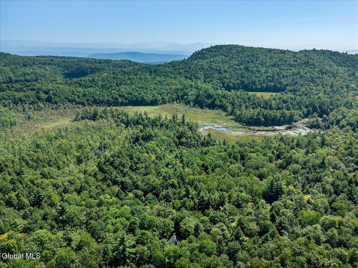 1120 Pike Brook Road Clemons, NY 12819 - Photo 35 of 43 38-DJI_20250812112213_0384_D