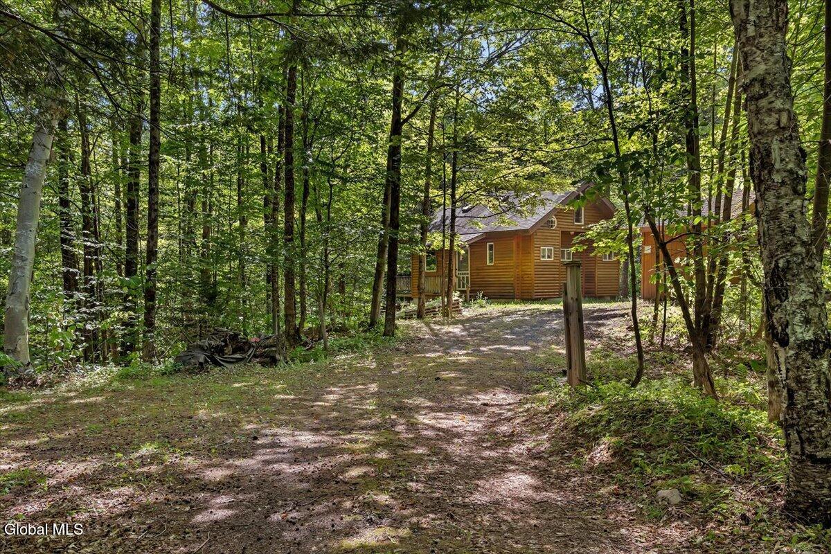 1120 Pike Brook Road Clemons, NY 12819 - Photo 5 of 43 39-P1538757