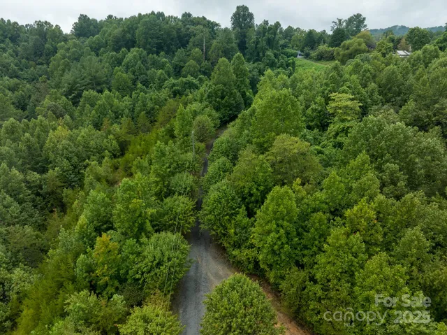 a view of a swimming pool with a yard