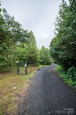 a view of a road with trees in the background