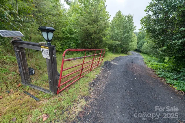 a view of a yard with trees