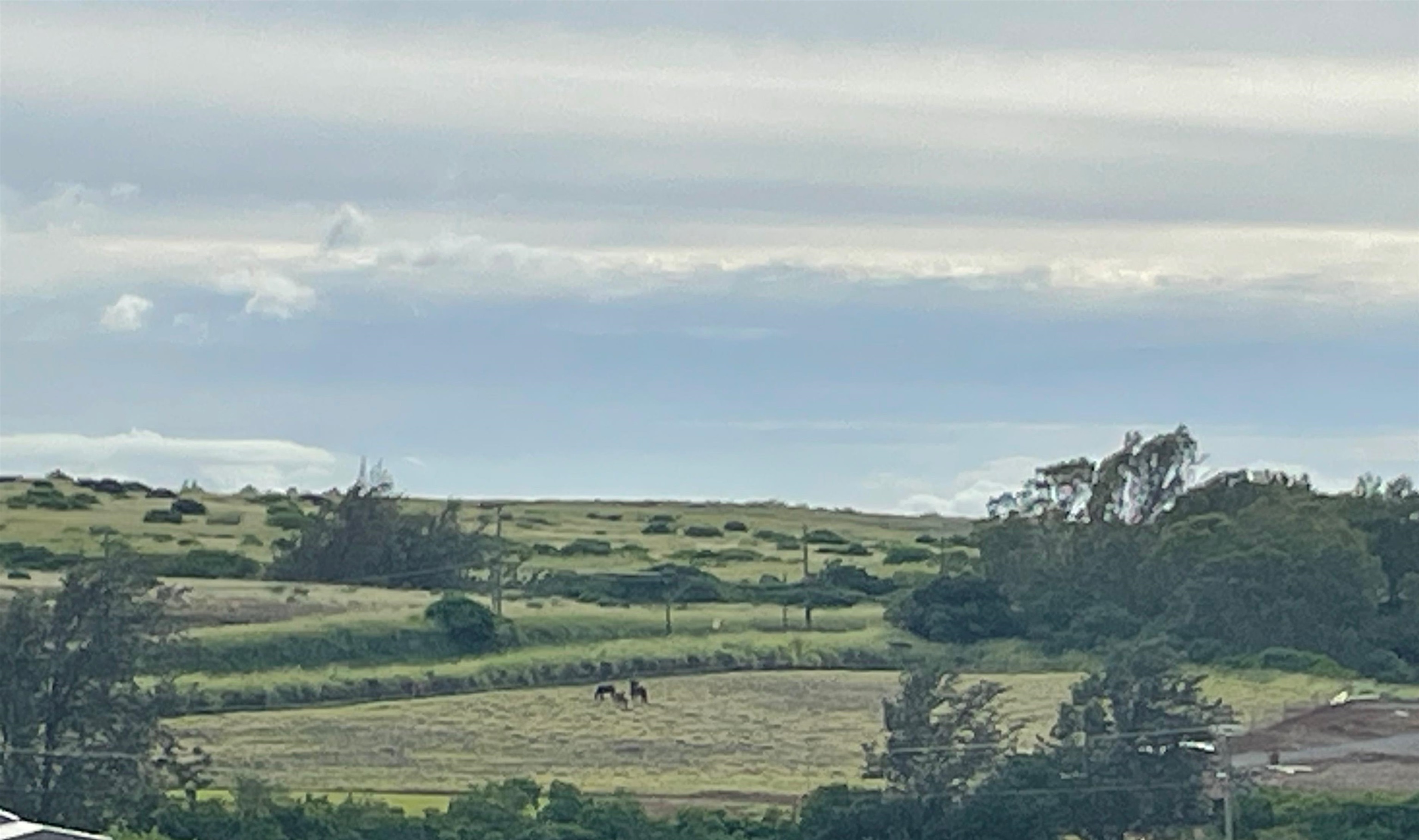 1221 Haliimaile Road Makawao, HI 96768 - Photo 3 of 7 a view of lake with mountain