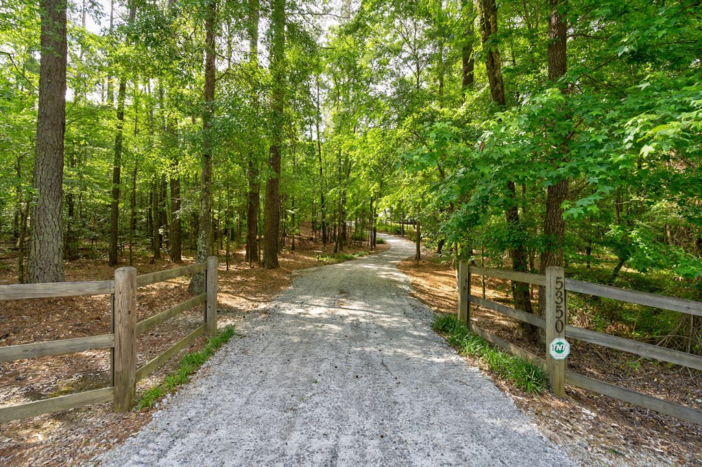 5350 White Oak Road Appling, GA 30802 - Photo 3 of 51
