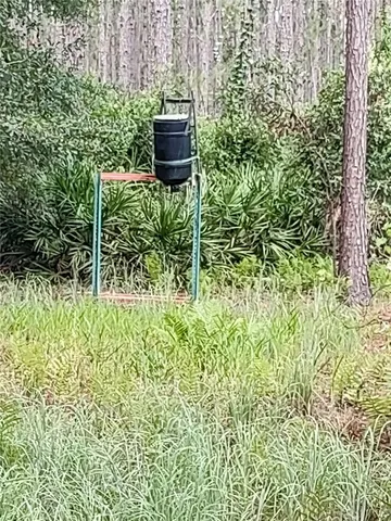 a view of house with a yard