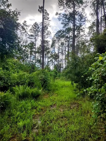 a view of outdoor space and garden