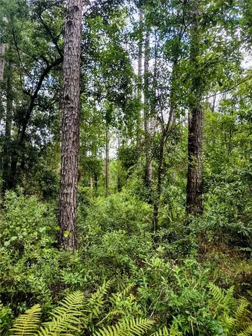 $675,000 | 4651 Northwest 108th Street, Chiefland, FL 32626