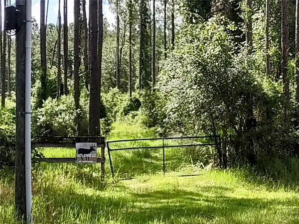 a view of a garden