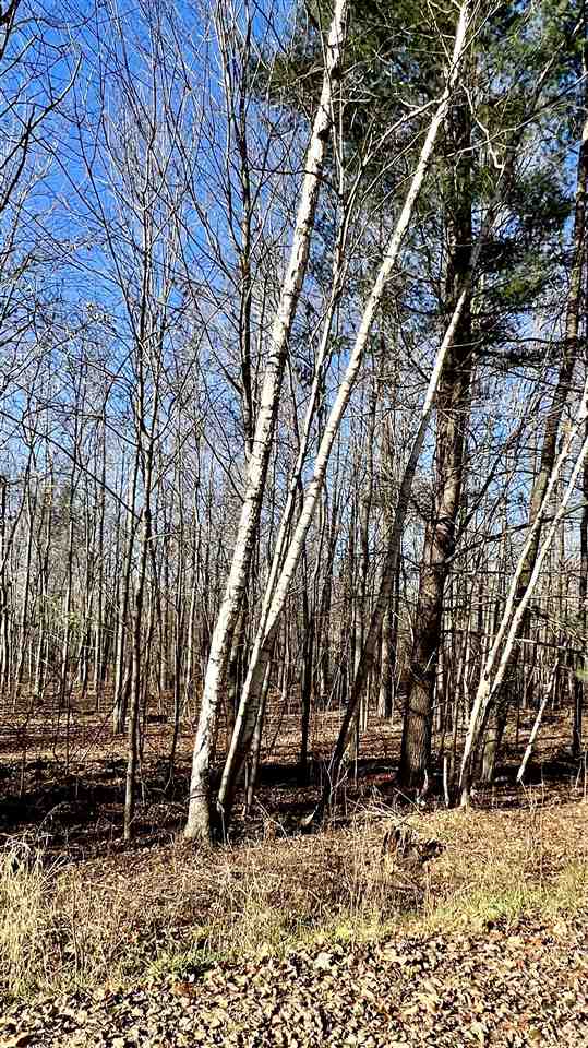 5841 Wendt Road Hope, MI 48628 - Photo 49 of 49 Gallery Image 49