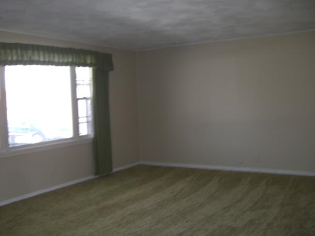 319 South Briner Road Marion, IN 46953 - Photo 5 of 12 Gallery Image 5