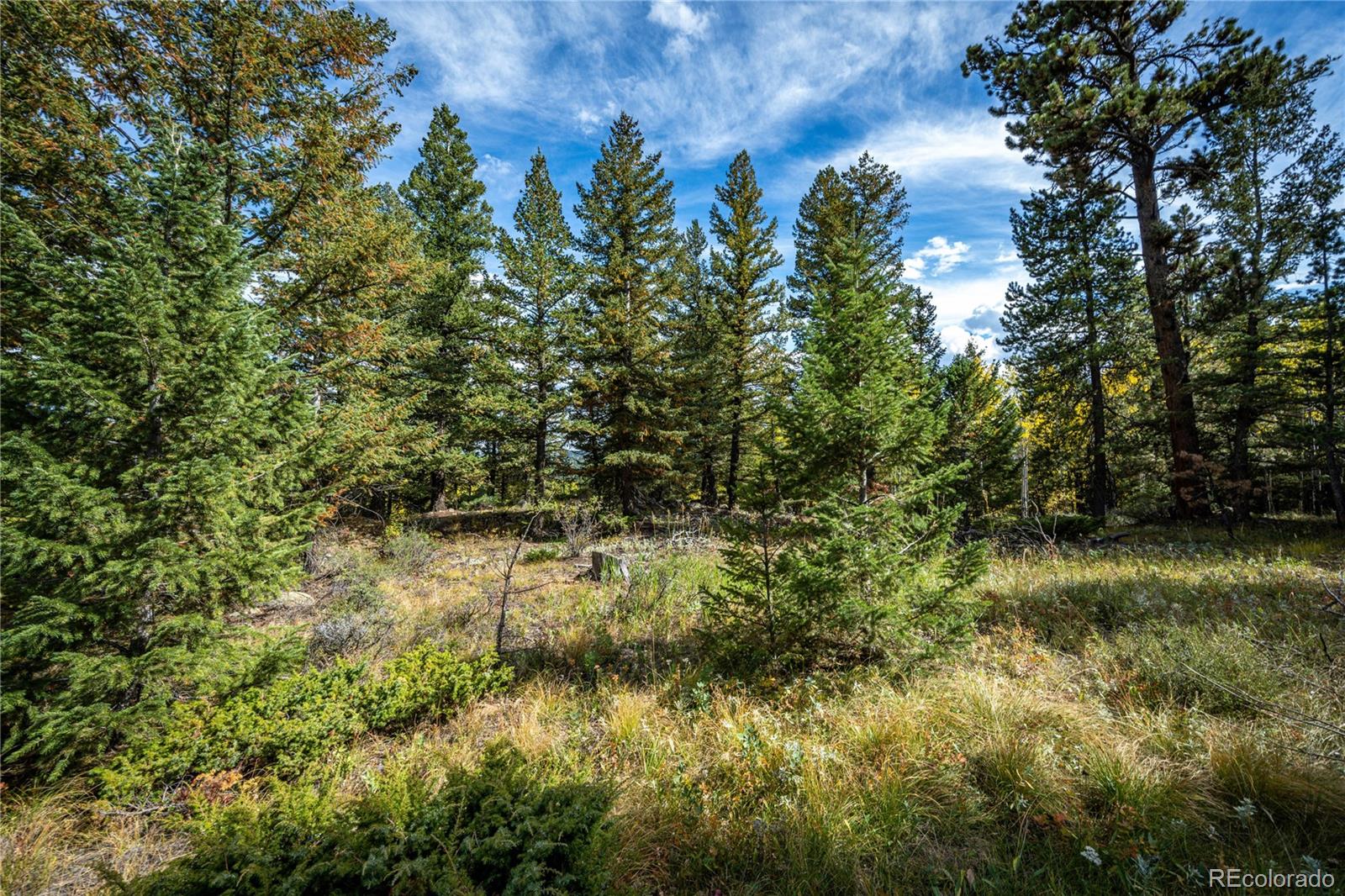 9700 Sugarloaf Road Boulder, CO 80302 - Photo 10 of 12 Gallery Image 10