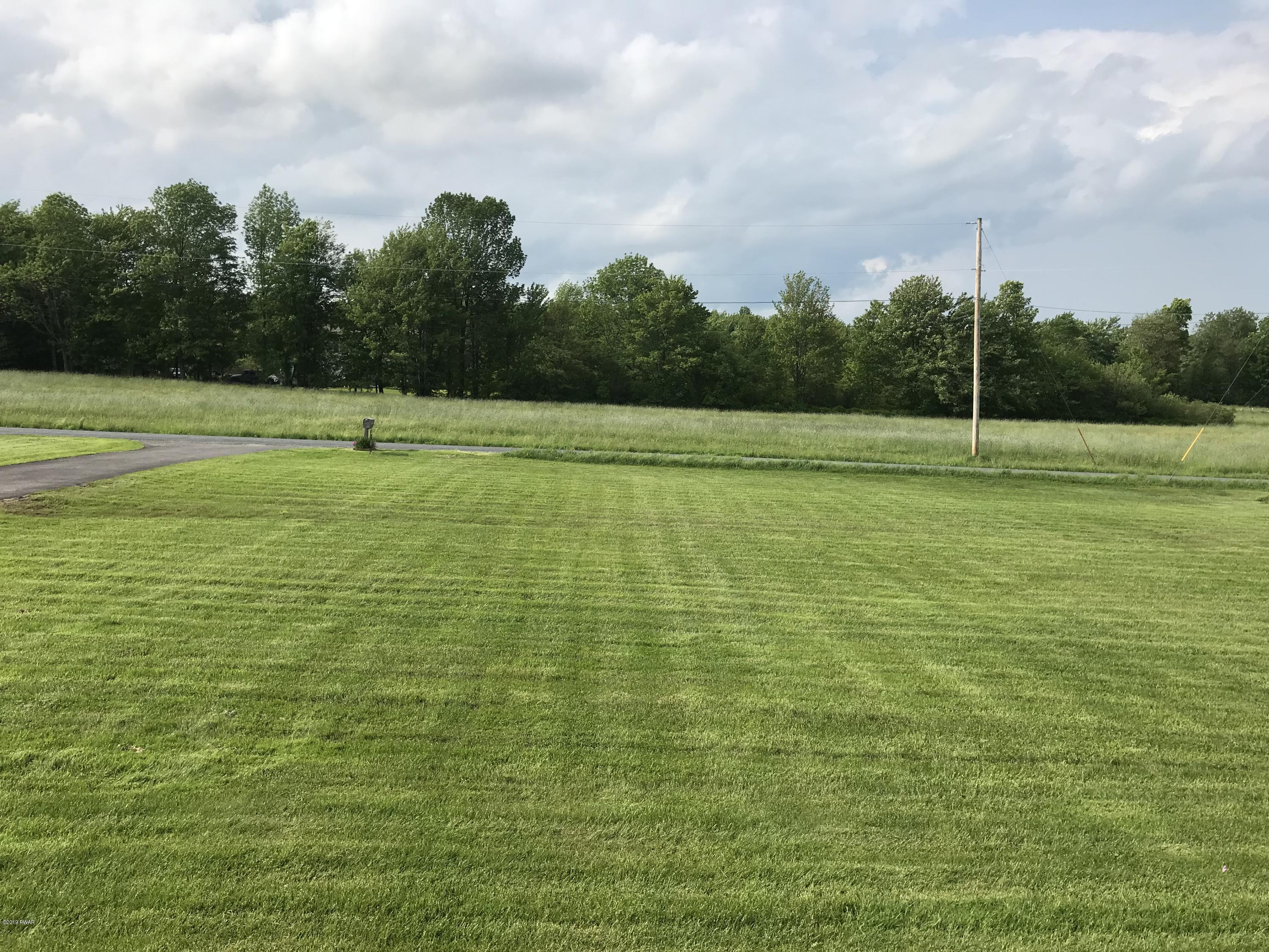 108 Savitz Road Moscow, PA 18444 - Photo 14 of 46 a view of a field with an trees in the background