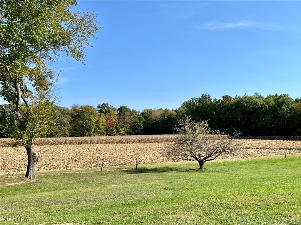 35327 Neff Road Grafton, OH 44044 - Photo 45 of 49 Gallery Image 45