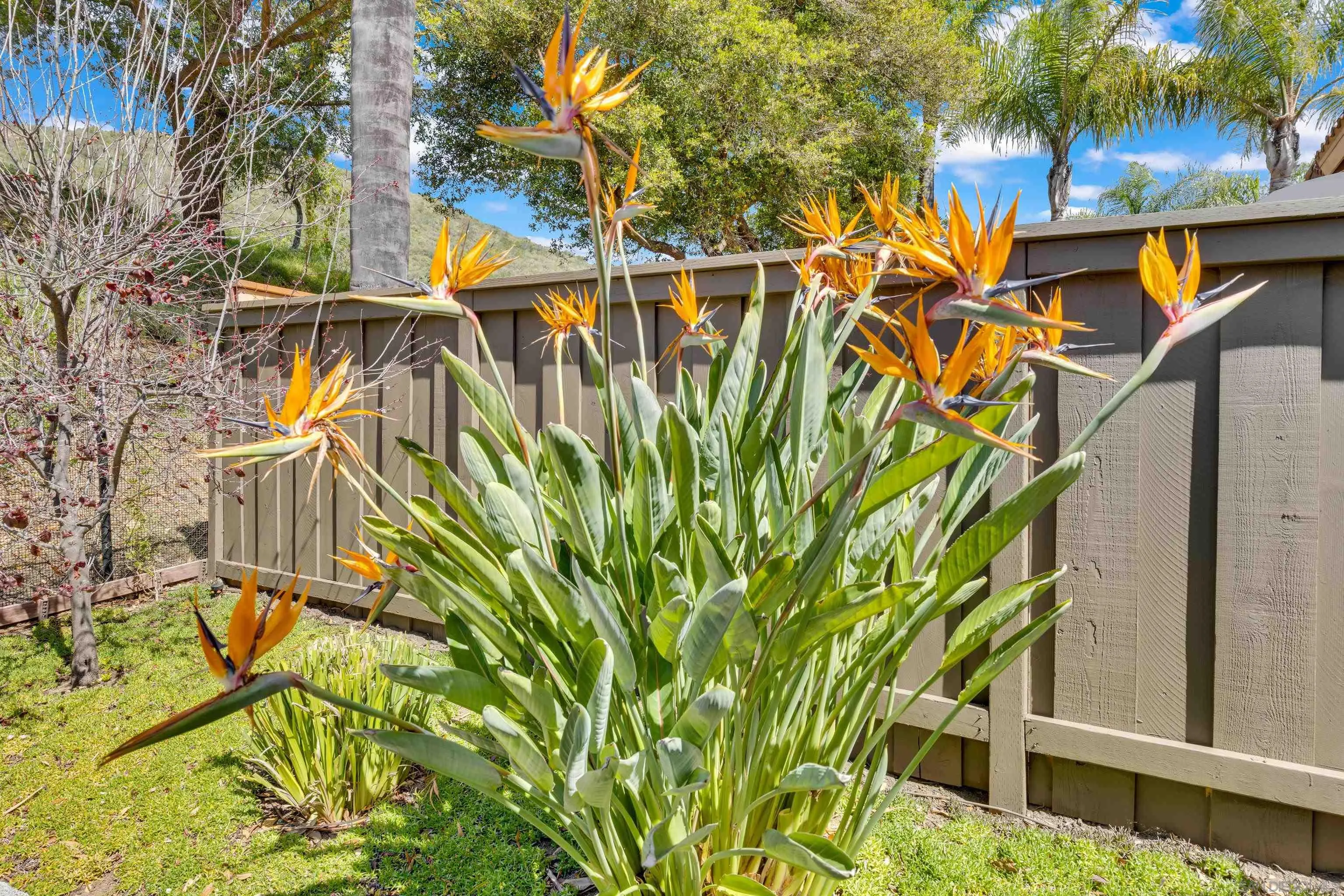11604 Springside Road San Diego, CA 92128 - Photo 44 of 51