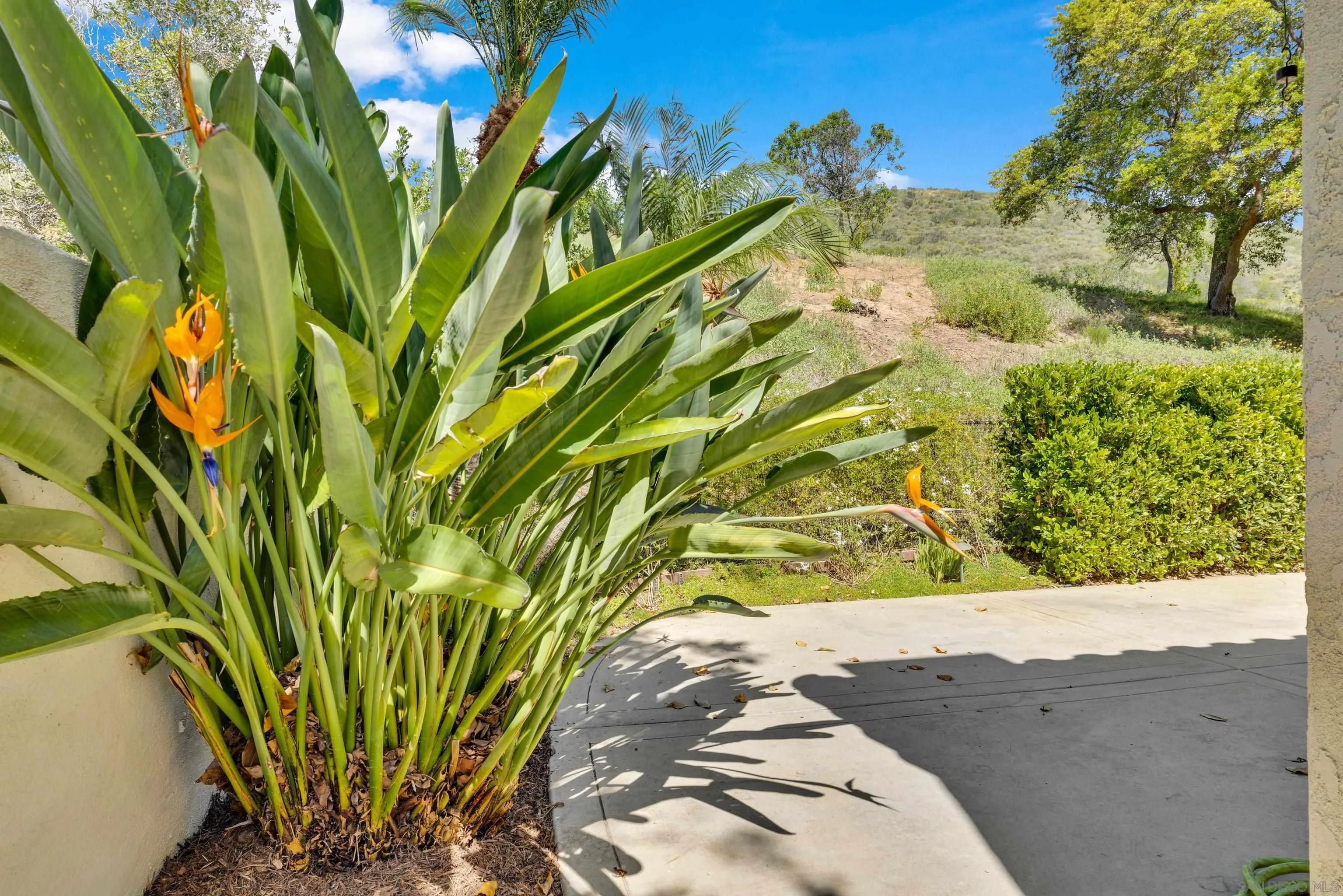 11604 Springside Road San Diego, CA 92128 - Photo 48 of 51