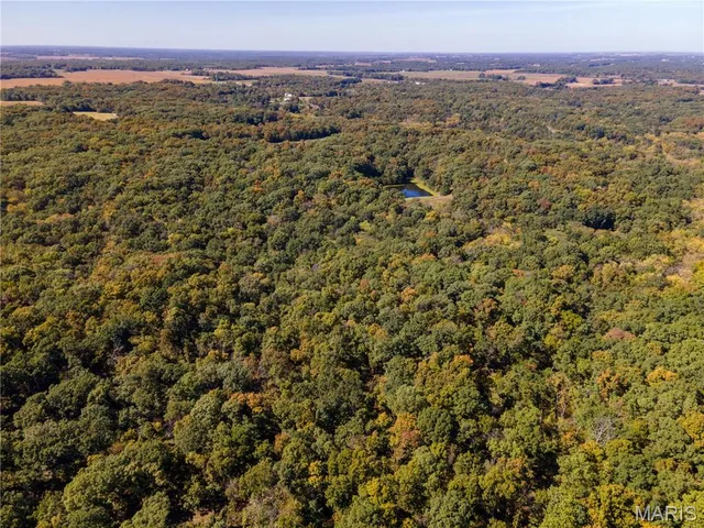 $960,000 | 27232 Z Highway, Canton, MO 63435